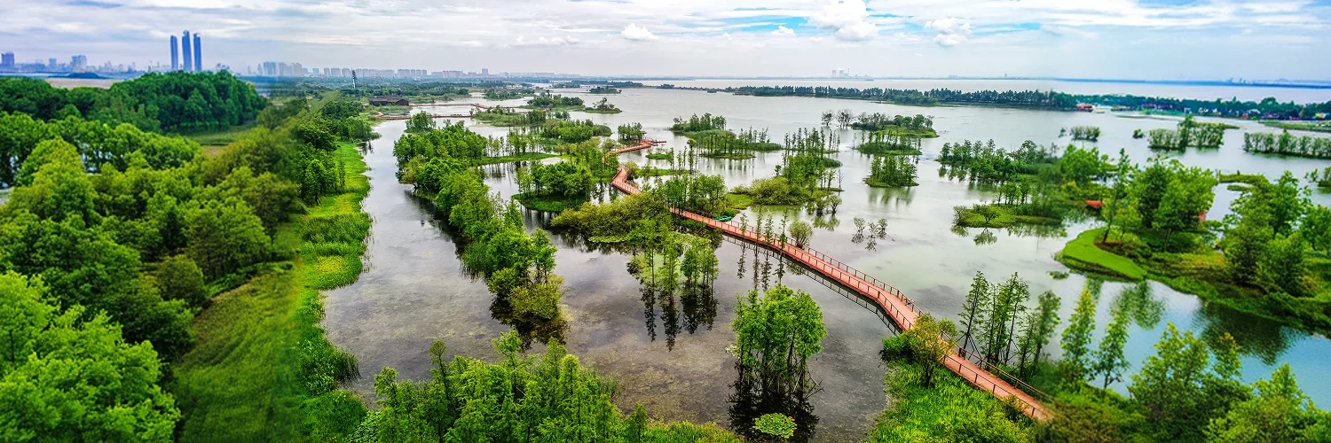 Boat exploration of Delta channels & lakes